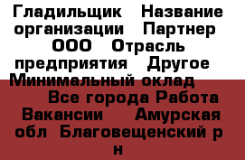 Гладильщик › Название организации ­ Партнер, ООО › Отрасль предприятия ­ Другое › Минимальный оклад ­ 20 000 - Все города Работа » Вакансии   . Амурская обл.,Благовещенский р-н